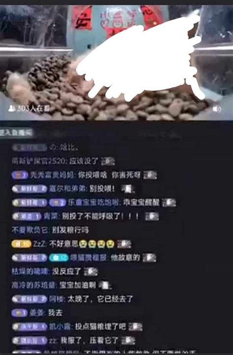 group  people    kill   fresh cat meme