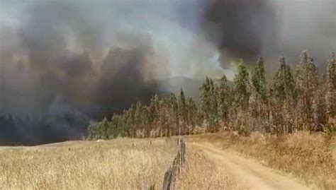 Declaran Evacuación Preventiva De 3 Sectores En La Los Sauces Y Un