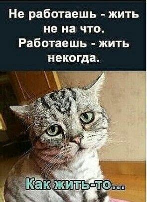 Pin by TATIANA on ИНТЕРЕСНО Funny cartoon pictures Funny expressions