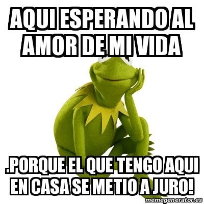 Meme Kermit The Frog Aqui Esperando Al Amor De Mi Vida Porque El Que