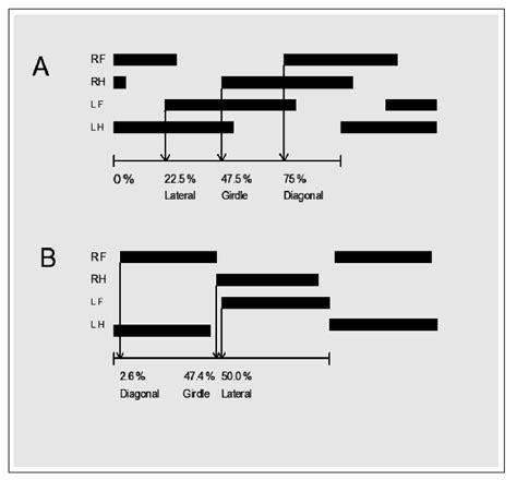 Phase Lags Examples Of Computation Of Phase Lags For A Walking A And