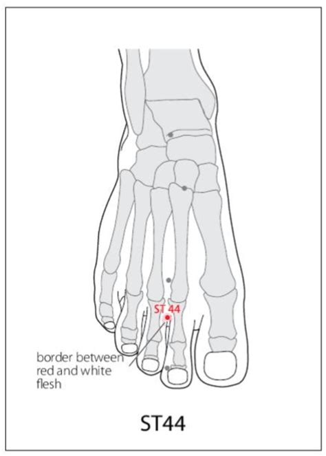 St Acupuncture Point Acupuncture Point Locations Review