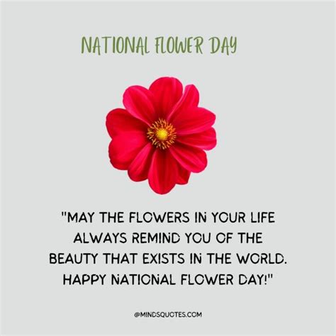 35 Famous National Flower Day Wishes Quotes And Messages