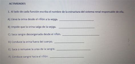 Al lado de csda función escriba el nombre de la estructura del sistema