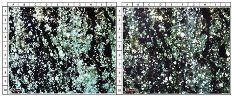 ppl left  xpl   petrographic thin section