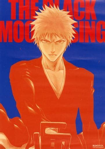 Bleach Ex Original Poster Collection A By Ichigo Kurosaki Bleach