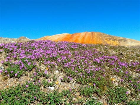 Mount Edziza Northern BC provincial park | National parks, Hiking, Park