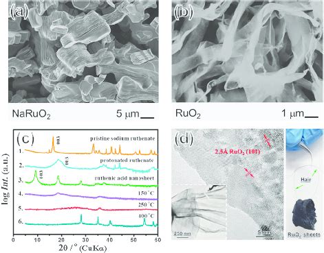 SEM Images Of A Pre Prepared Layered Precursor A And As Prepared RuO