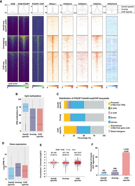 Mapping Transcription Factor Occupancy Using Minimal Numbers Of Cells