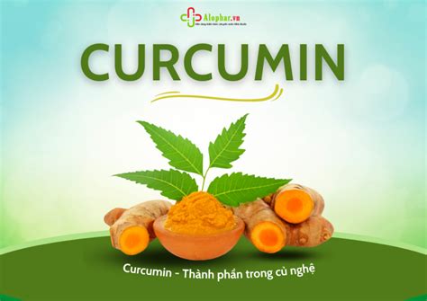 Vai Tr C A Curcumin Trong I U Tr C C B Nh L Th Ng G P T I Nh