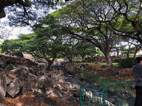 Liliuokalani Botanical Garden Honolulu 2019 All You Need To Know