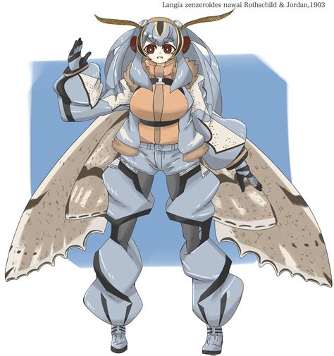 Moth Girl Insect Girl Insect Girl Monster Girl Anime