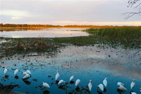 15 Best Lakes In Florida The Crazy Tourist