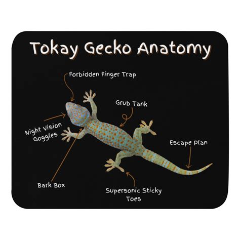 Tokay Gecko Anatomy Mouse Pad Dolor Games