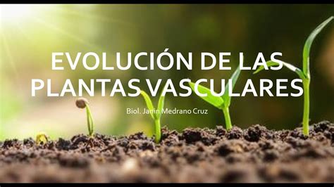 Unidad Ii Evolución De Las Plantas Vasculares Youtube