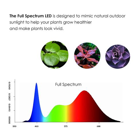 Aquarium Full Spectrum LED Light With Bamboo Board Fits Nano - Etsy