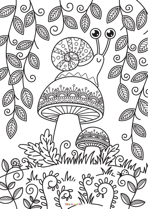 Coloriage D Un Champignon Un Dessin De T Te Modeler