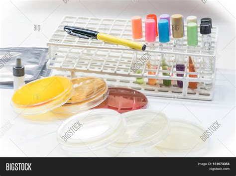 Biochem Test Kit Image & Photo (Free Trial) | Bigstock