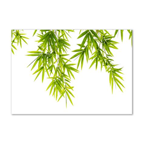 Sansibar Home Bamboo Leaves Kunstdrucke Auf Leinwand Wayfair De