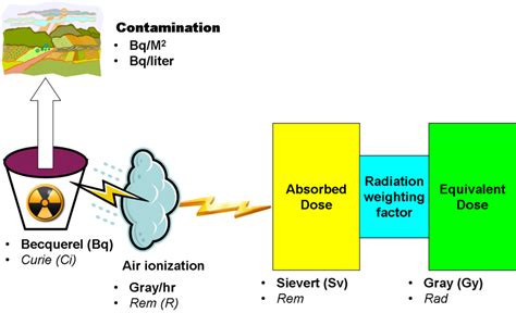 Units Of Radioactivity Encyclopedia Article Citizendium