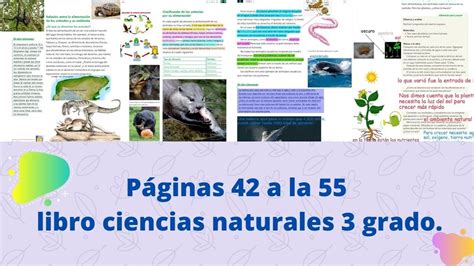 P Ginas A La Libro Ciencias Naturales Grado Youtube