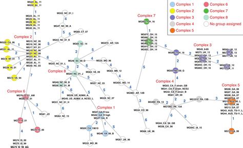Development of a Multilocus Sequence Typing Assay for Mycoplasma ...