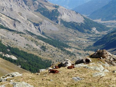 The Great Alpine Road - The Route des Grandes Alpes | LifeWeLove