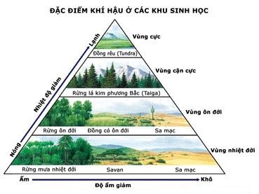 H Nh Minh H A Khu Sinh H C