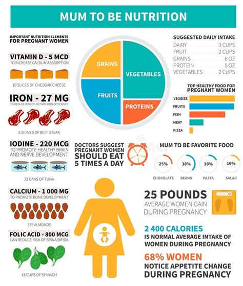 Nutrition Infographic Template