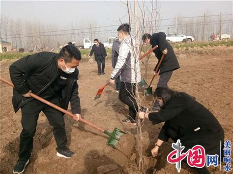 打好“绿色牌”念好“生态经”――黄圩镇大力发展绿色农业纪实 社会民生 中国网•东海资讯