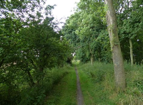 Bridleway Through The Long Strip Mat Fascione Cc By Sa