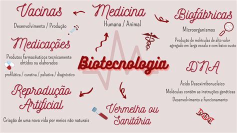 Mapa Mental De Biotecnologia Zuledu