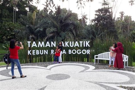 Meski Sepi Kebun Raya Bogor Masih Diminati Wisatawan Republika Online