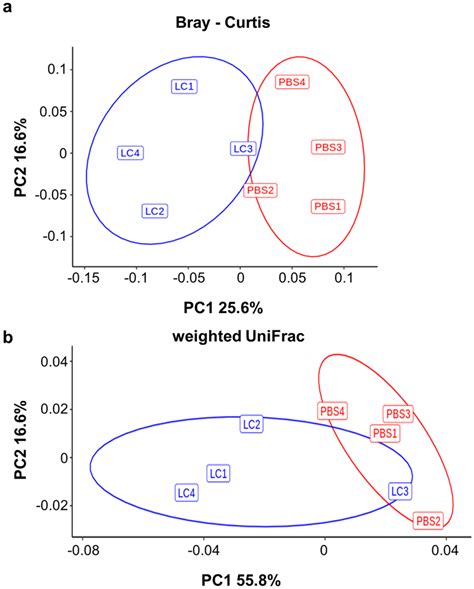 Beta Diversity Principal Coordinates Analysis Pcoa Differences