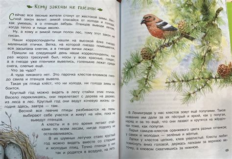 Книга: Лесная газета - Виталий Бианки. Купить книгу, читать рецензии ...