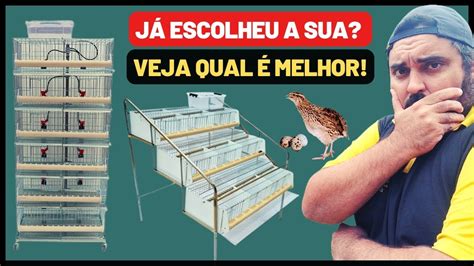 Qual O Melhor Tipo De Gaiola Para A Cria O De Codornas Gaiola