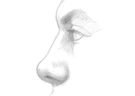 Female Nose Drawing Side View