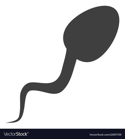 Sperm Cell Icon Royalty Free Vector Image Vectorstock