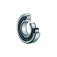 Shop Fag Nu E Xl M C Cylindrical Roller Bearing Cylindrical