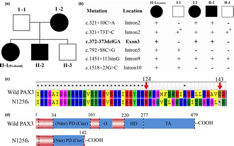 Two Novel Mutations Of Pax3 And Sox10 Were Characterized As Genetic Causes Of Waardenburg