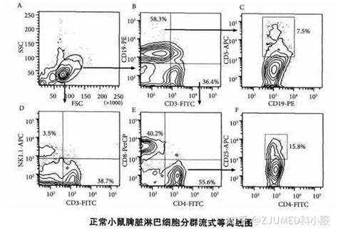 凋亡比例计算 流式 科研小白的第一步——看懂流式细胞图 许逸yixu的博客 Csdn博客