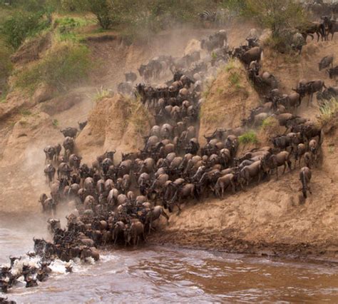 3 Days Serengeti National Park