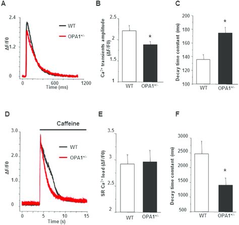 Calcium Transients And Sr Calcium Load In Opa1 Isolated Download Scientific Diagram