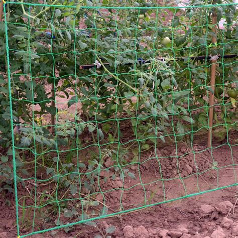 Utensili Per Il Giardinaggio M Chstarina Rete In Nylon Per Piante