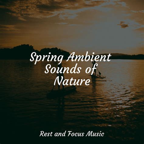 Spring Ambient Sounds Of Nature Album By Meditation Awareness Spotify