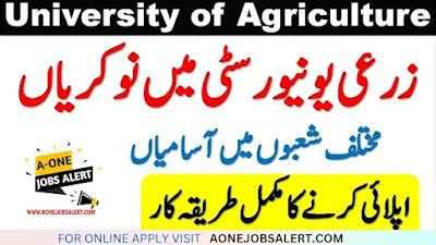 University Of Agriculture Faisalabad Jobs 2023