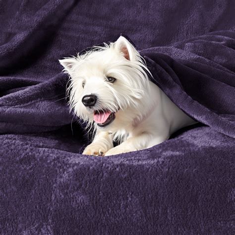 Cozy Comfort Purple Fleece Blankets King Size Soft Lightweight Plush