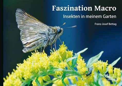 Faszination Macro Das Honigh Uschen In Bonn