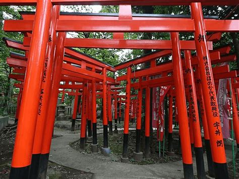 あの伏見稲荷大社越えの圧巻ビジュアル！ 赤い鳥居が連なる東京・東伏見稲荷神社 電話占いシエロ