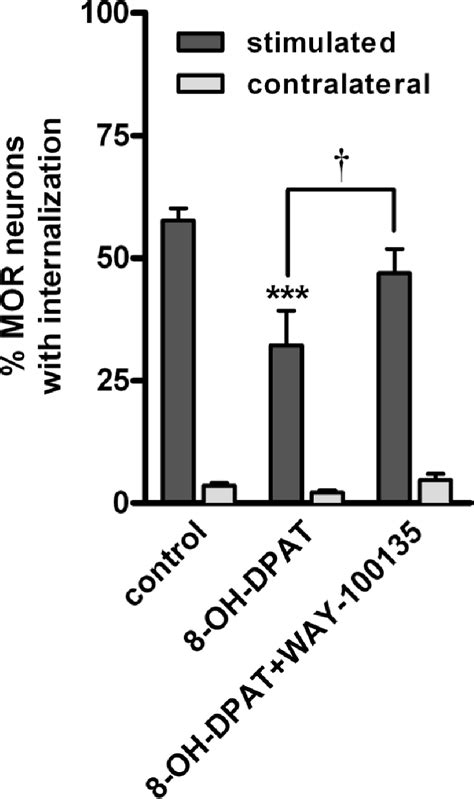 Figure 2 From Inhibition Of Opioid Release In The Rat Spinal Cord By